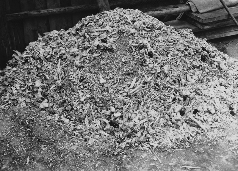 Это куча пепла и  костей из 88 военнопленных результат одного дня в  концентрационном лагере Бухенвальд недалеко от Веймара в  Германии, 25 апреля 1945 года.