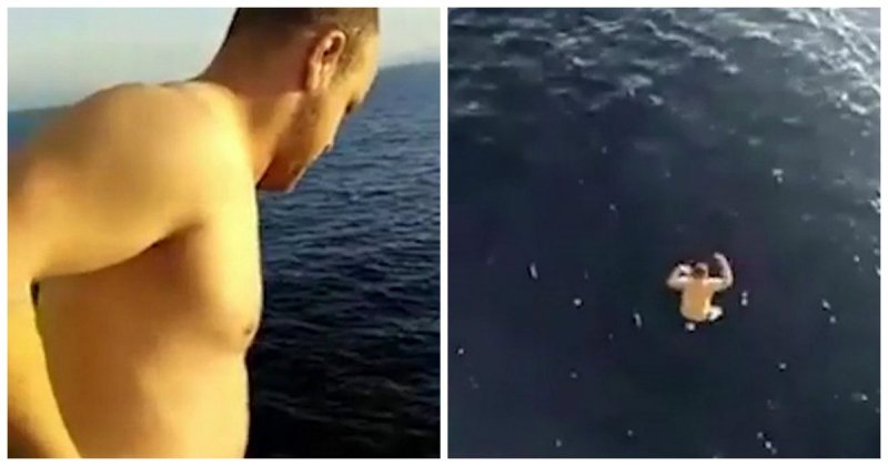 Храбрый моряк прыгнул с 12-метровой палубы в воду, чтобы спасти  запутавшегося в сетях  детёныша кита