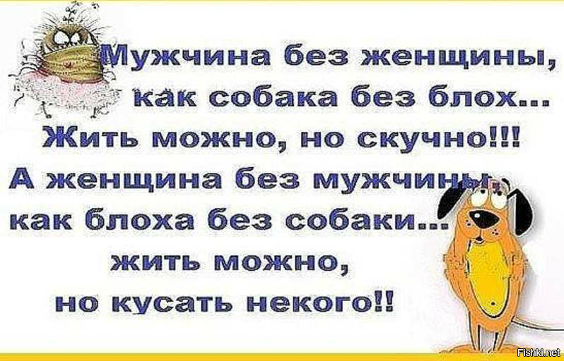 Ответ мужа. Мужчина без женщины как собака без блох. Приколы мужу от жены скучаю. Картинки для мужа прикольные от жены соскучилась. Жена скучает по мужу картинки.