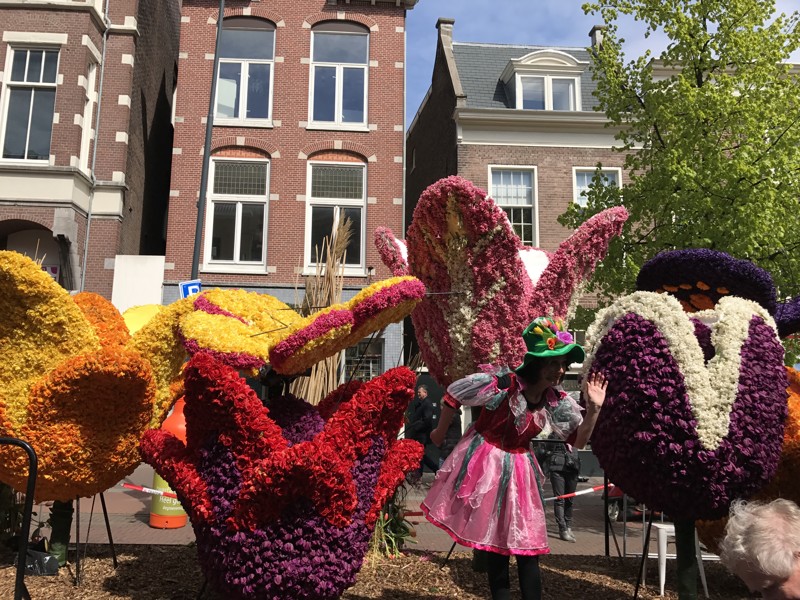 Фотоотчёт с парада цветов в Голландии 23 Апреля 2017