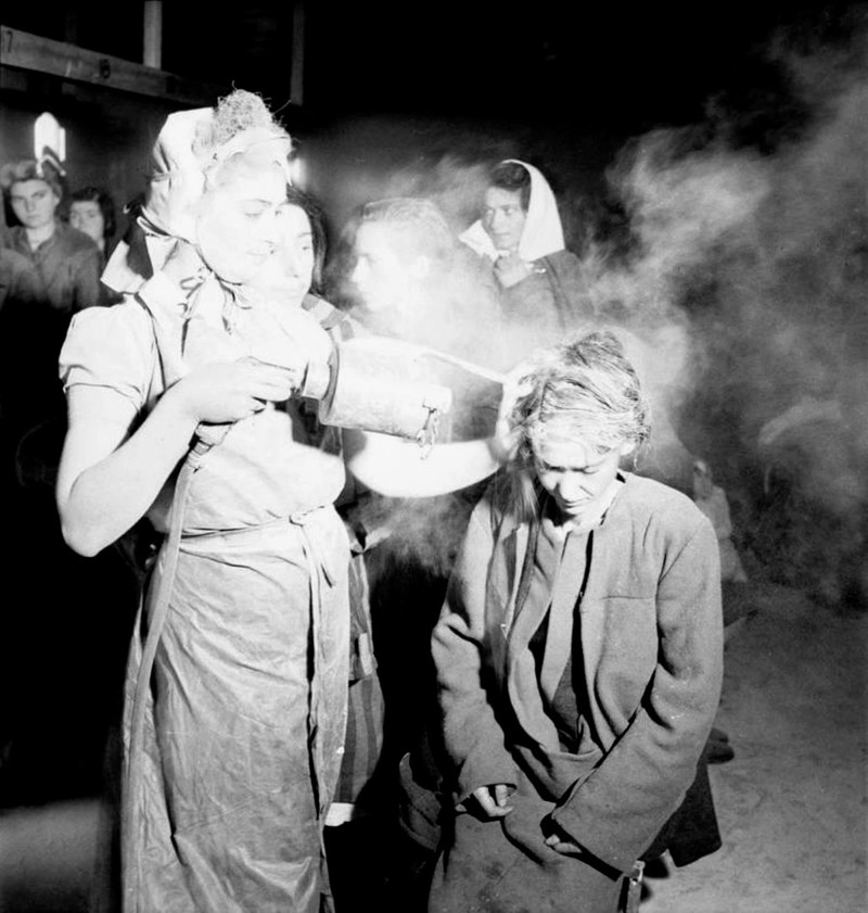Недавно освобожденные женщины-заключенные в Берген-Бельзен опыляют друг друга порошком ДДТ, чтобы убить вшей, май 1945 года.