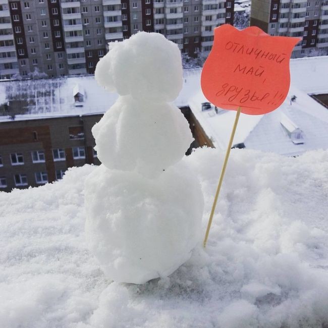 Картинки про снег в мае прикольные