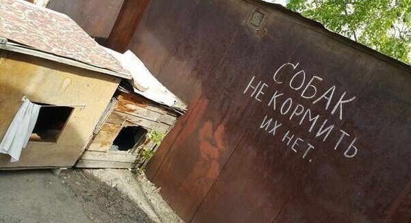 Вестник социальных сетей