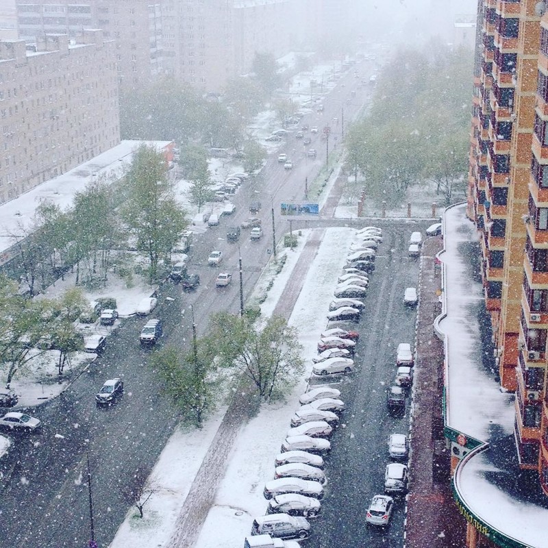 Майский снег в Москве - фото из соцсетей