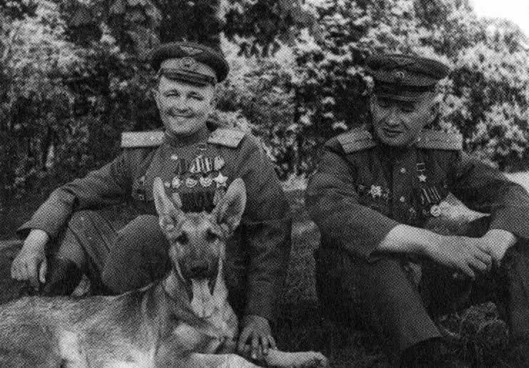 Джульбарс собака герой войны фото