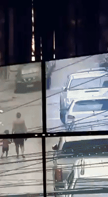 Собака помогла полицейским установить вора