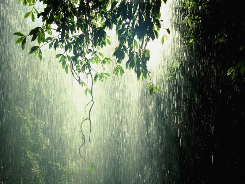 Интересные факты о дожде дождь, погода, природа, факты