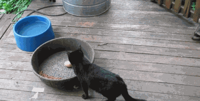 Когда ты не жадина