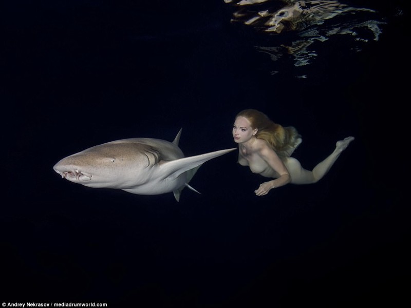 Русская модель совершает заплыв с акулами!