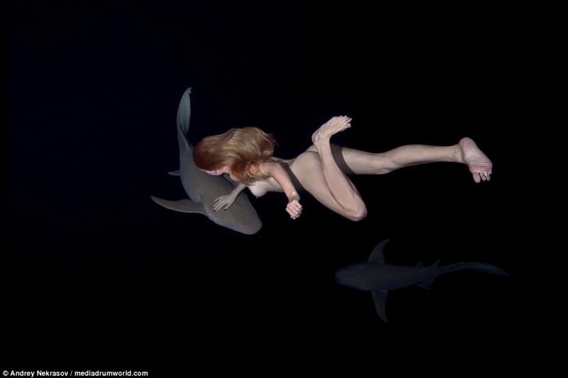Русская модель совершает заплыв с акулами!