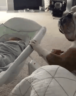 Гифки дня Гифки дня