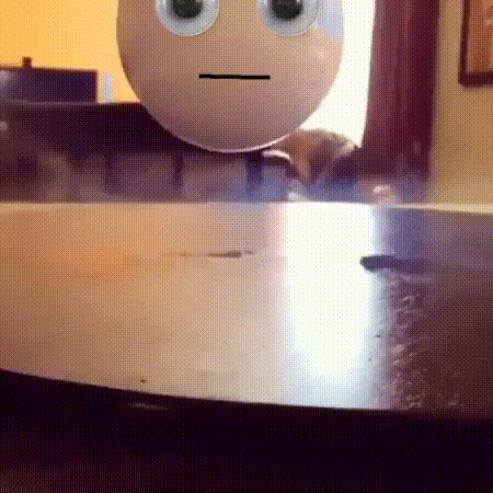 Гифки дня Гифки дня