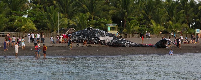 Greenpeace призывает лидеров АСЕАН принять конкретные меры против непрекращающегося загрязнения океана