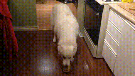 Пока никто не видит и не слышит