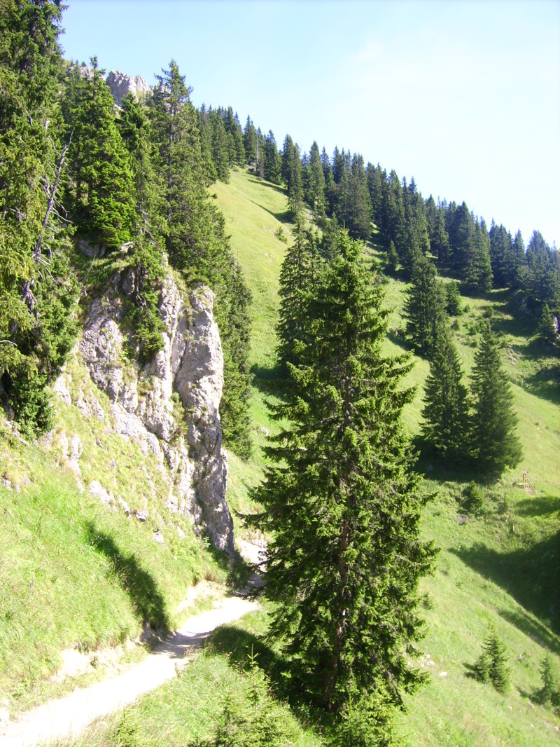 Прогулка в Альпах