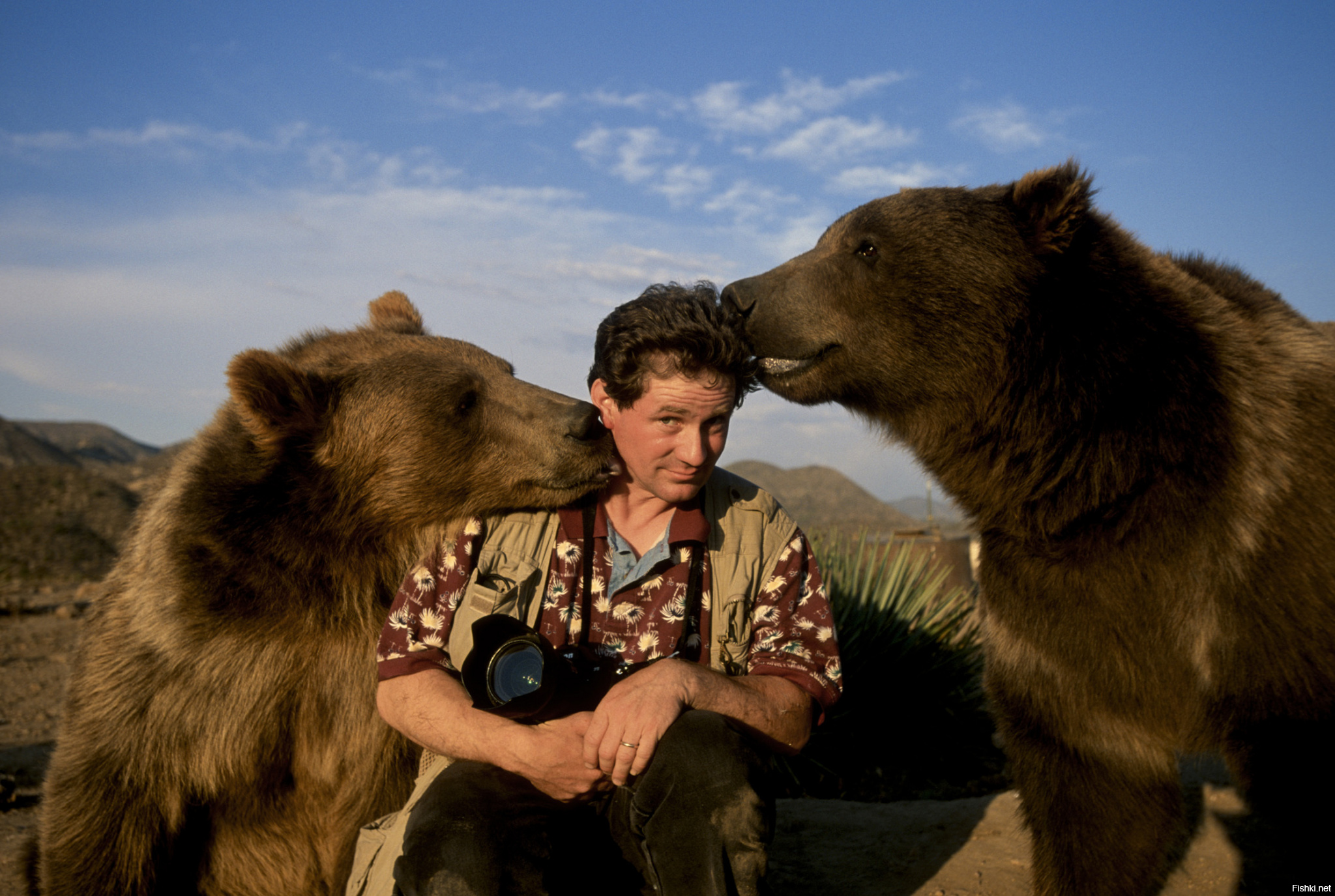 Заметивший зверя. Фотограф Джоэл Сарторе. Медведь в дикой природе. Люди и животные. Фотографы животных в дикой природе.