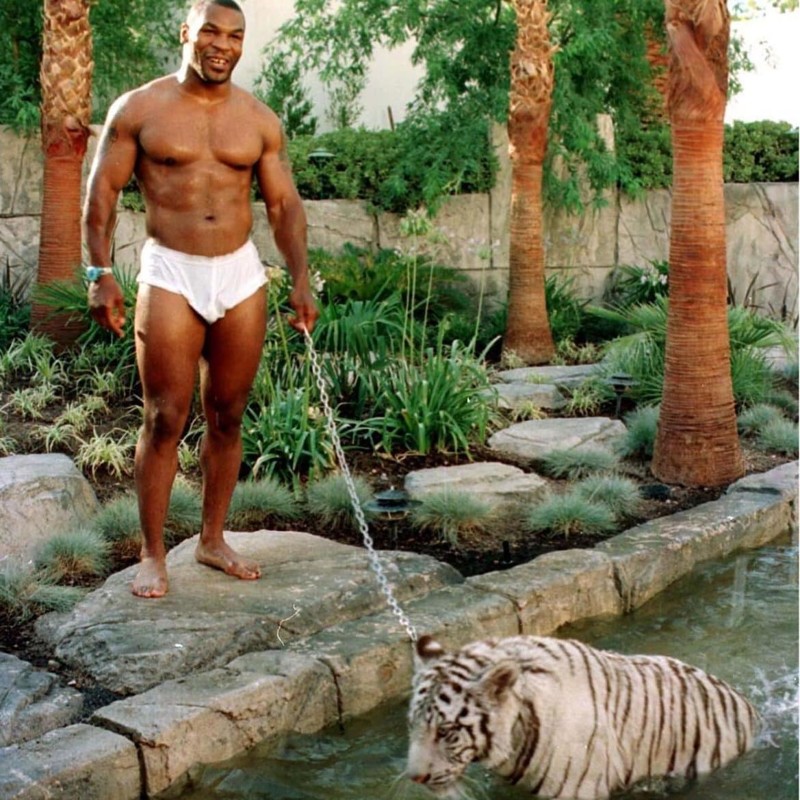 Майк Тайсон и его тигр - 1990