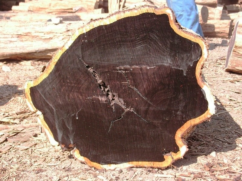 Какие породы древесины лучше подходят для обработки ?