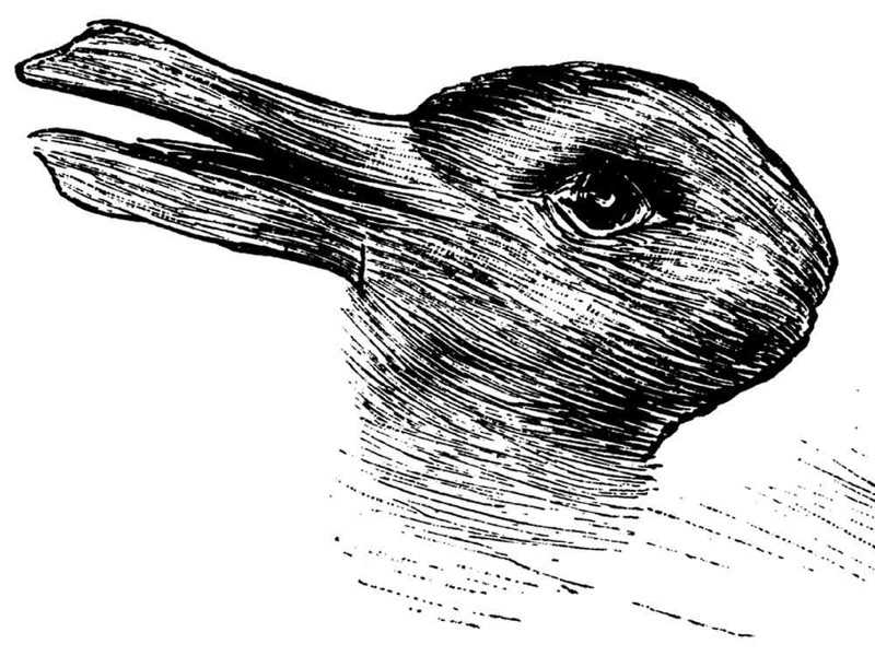3. Утка или заяц 