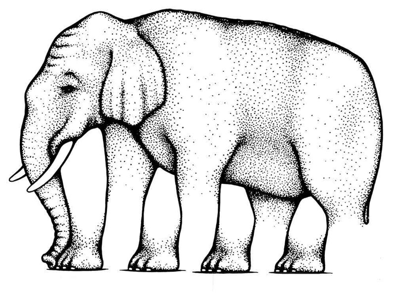1. Слон 