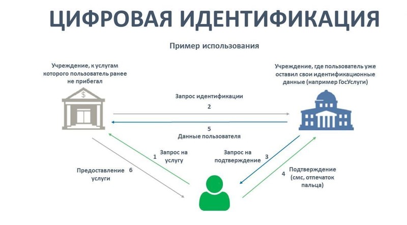 Результат идентификации образцов