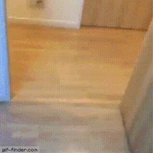 Коты — чертовски весёлые ребята Коты — чертовски весёлые ребята