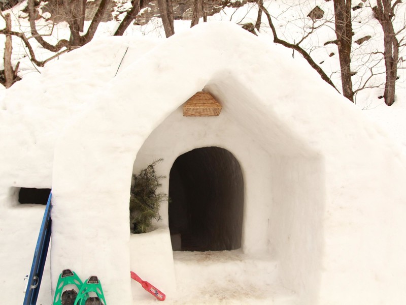Отель в долине Куллу располагает двумя жилищами из прессованного снега