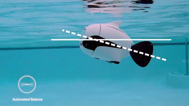 Встречайте: роботизированная рыбка-фотограф BIKI