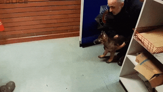 Первое задержание на новой службе