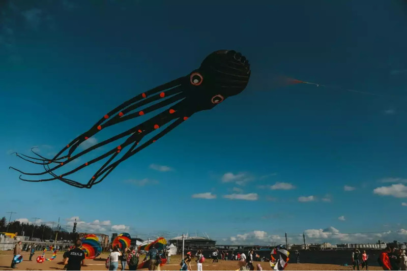 Флешмоб «314 воздушных змеев» пройдет в Северной столице