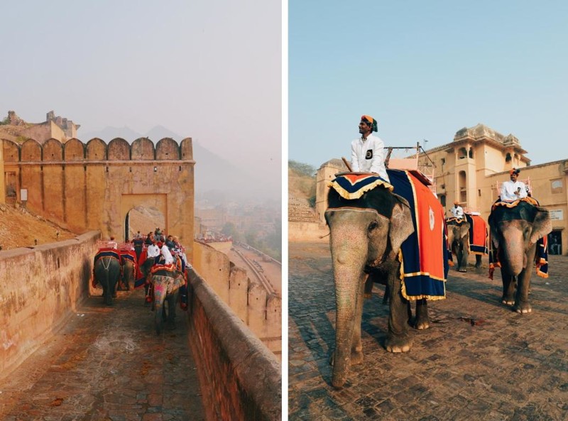 Джайпур. Город тысячи слонов
