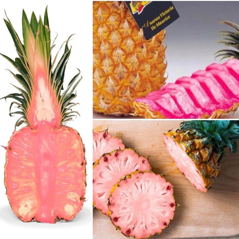 Шедевр генной инженерии: розовый волшебный ананас