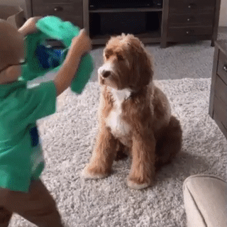 "Теперь мы близнецы"