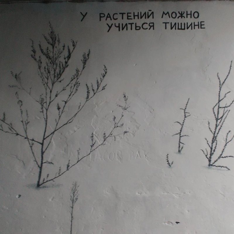 Надпись на стене: У растений можно учиться тишине