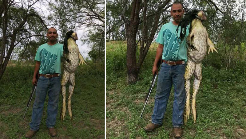 В США охотник поймал 6-килограммовую царевну-лягушку
