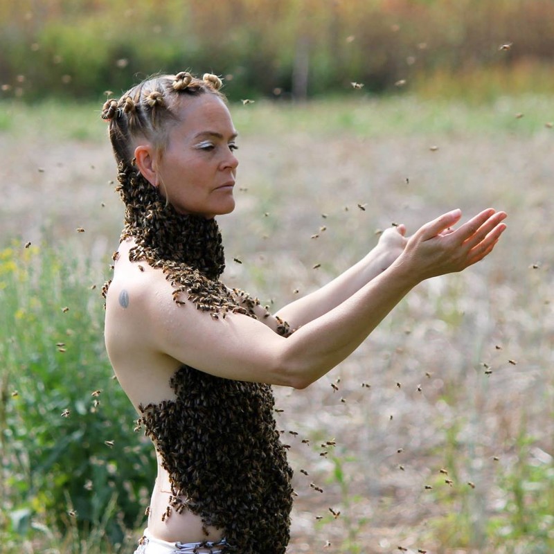 45-летняя американка носит на теле 12 тысяч пчел, чтобы исцелять людей