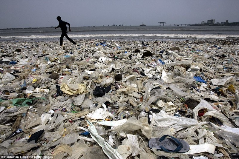 Добровольцы очистили индийский пляж от 5000 тонн мусора