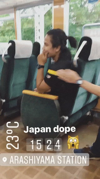 Сиденья в японском поезде