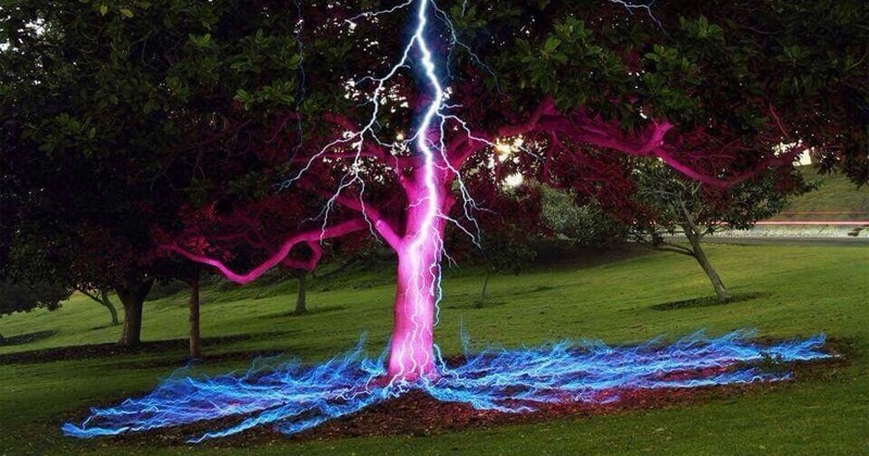 9. Невероятно красивый момент того, как молния ударяет в дерево — фотография сделана на длинной выдержке