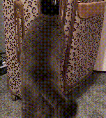 Очень туда нужно