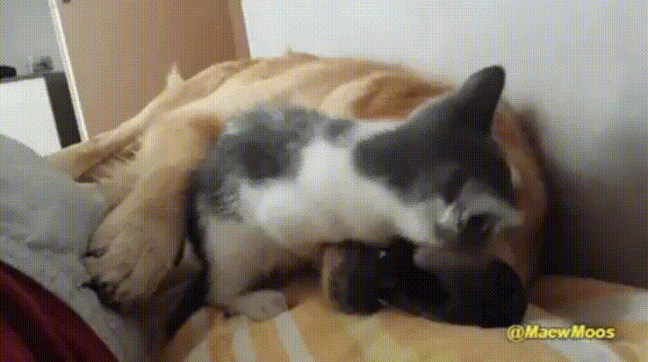 "Угомонись уже"