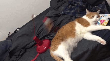 Нет настроения