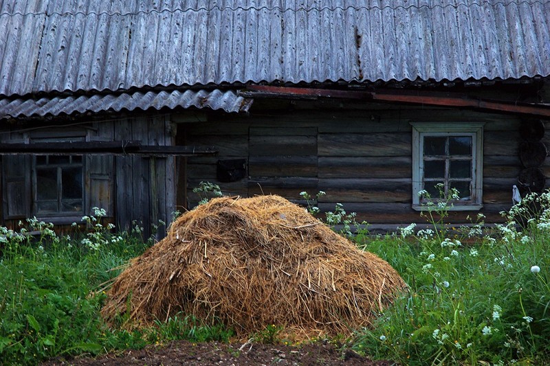 К Белому морю. Ошевенск