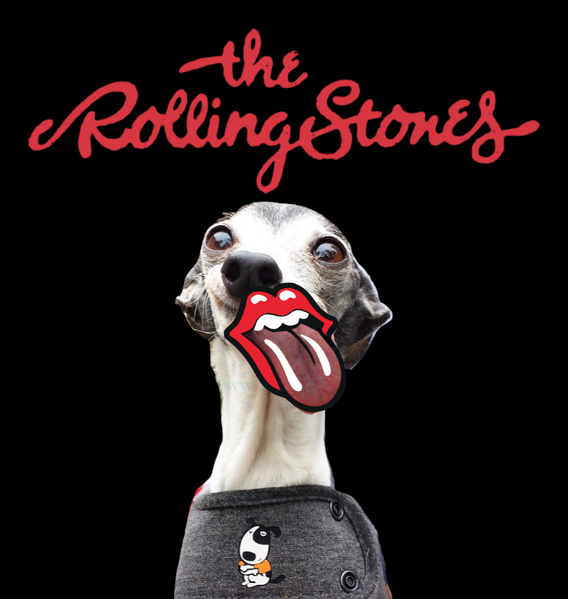   С логотипом The Rolling Stones   