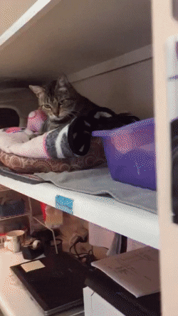 "Сами пейте свою колу"