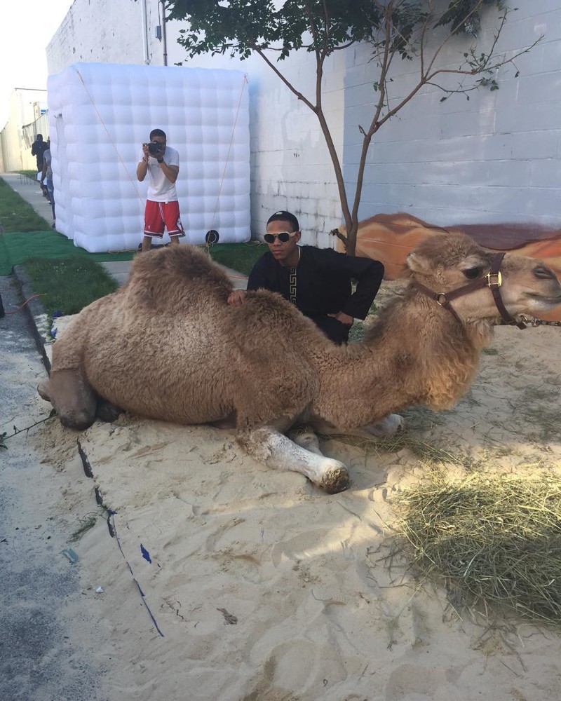Мама устроила сыну выпускной с «Ламборгини», верблюдом и 3 тоннами песка