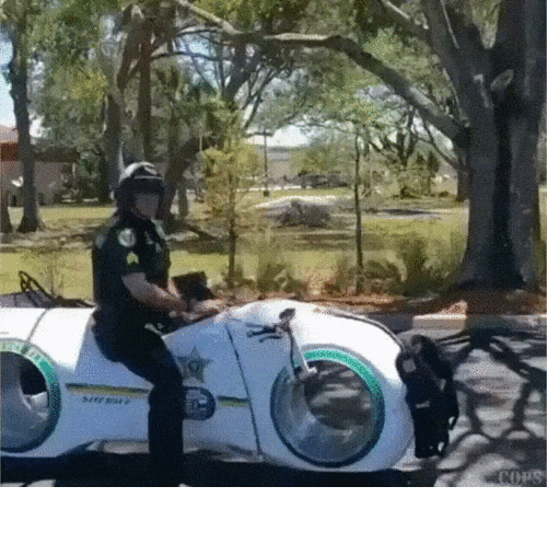 Полицейский из будущего