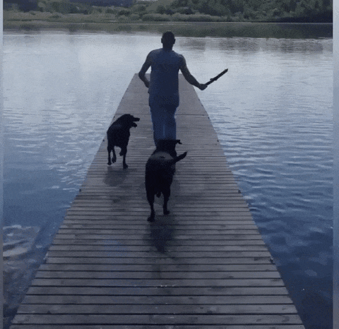 А прыгать-то никто и не собирался