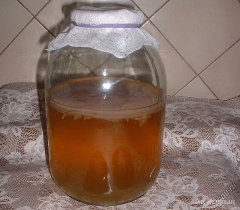 Чайный гриб на 1 литр