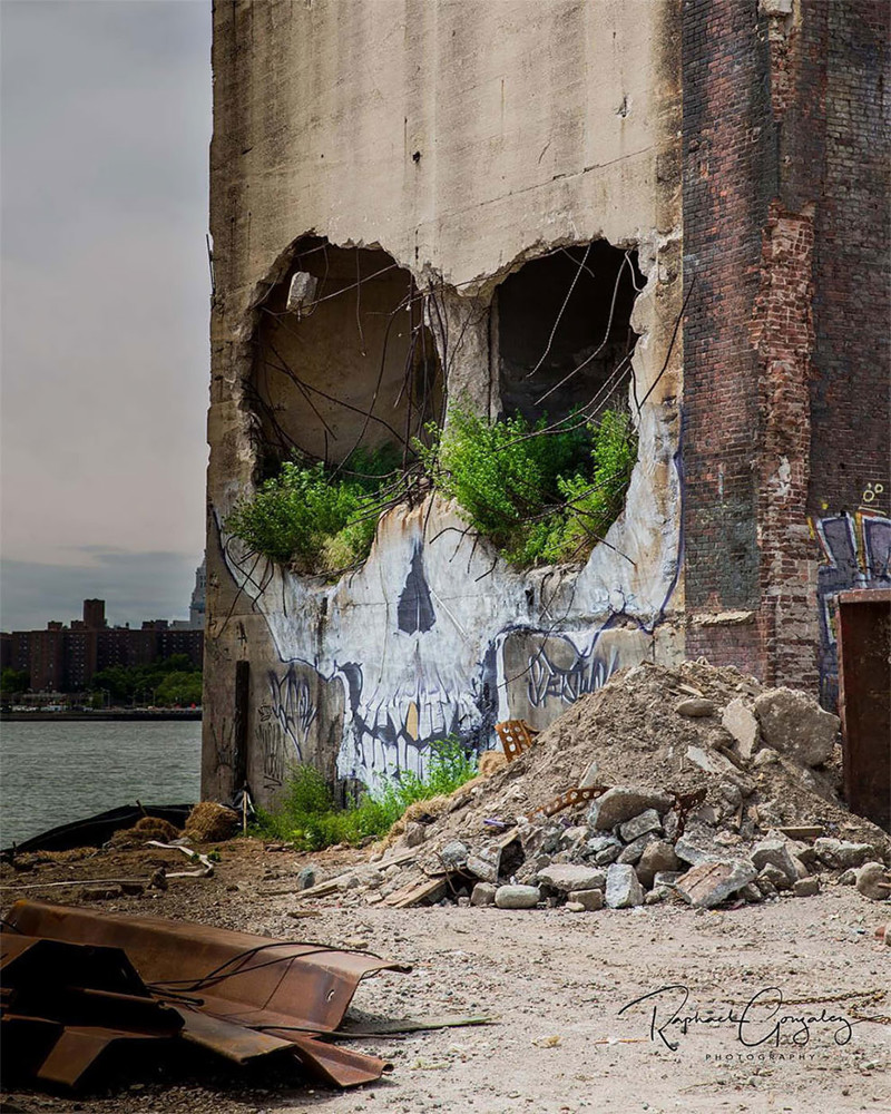 Уличный художник превратил стену заброшенного здания в гигантский череп